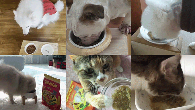 a2528093103d80fc8875a0fc389dfe7a_1724768082_6855.gif